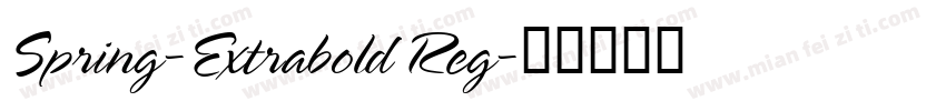 Spring-Extrabold Reg字体转换